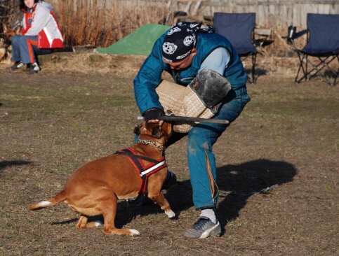 Training in Estonia 30.3 - 1.4. 2007